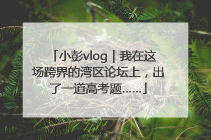 小彭vlog｜我在这场跨界的湾区论坛上，出了一道高考题……