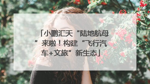 小鹏汇天“陆地航母”来啦！构建“飞行汽车+文旅”新生态