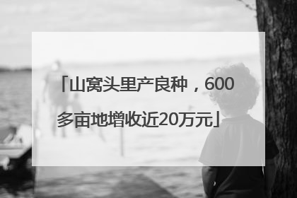 山窝头里产良种，600多亩地增收近20万元
