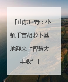 山东巨野：小镇千亩胡萝卜基地迎来“智慧大丰收”