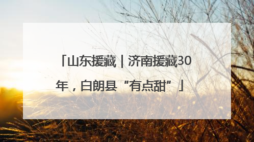 山东援藏｜济南援藏30年，白朗县“有点甜”