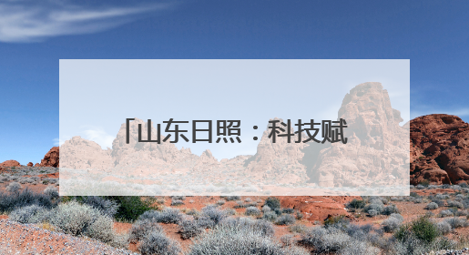 山东日照：科技赋能引领高质量发展