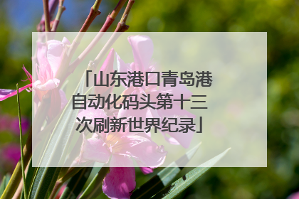 山东港口青岛港自动化码头第十三次刷新世界纪录
