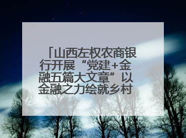 山西左权农商银行开展“党建+金融五篇大文章”以金融之力绘就乡村振兴新画卷