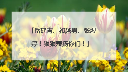 岳建青、祁越男、张煜婷！狠狠表扬你们！