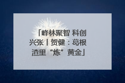 峰林聚智 科创兴张丨贺健：葛根渣里“炼”黄金