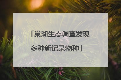 巢湖生态调查发现多种新记录物种