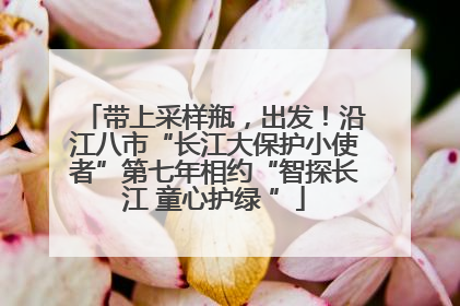 带上采样瓶,出发!沿江八市“长江大保护小使者”第七年相约“智探长江 童心护绿 ”