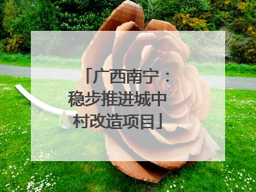 广西南宁：稳步推进城中村改造项目