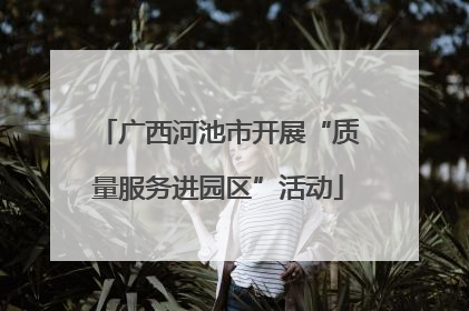广西河池市开展“质量服务进园区”活动