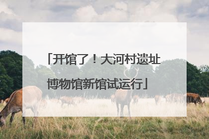 开馆了！大河村遗址博物馆新馆试运行