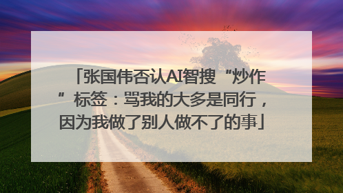 张国伟否认AI智搜“炒作”标签：骂我的大多是同行，因为我做了别人做不了的事