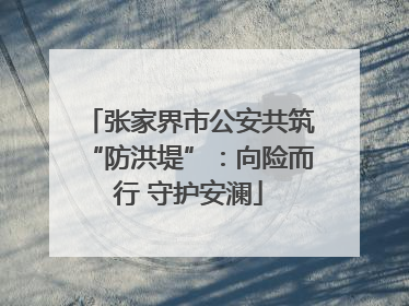 张家界市公安共筑“防洪堤”：向险而行 守护安澜