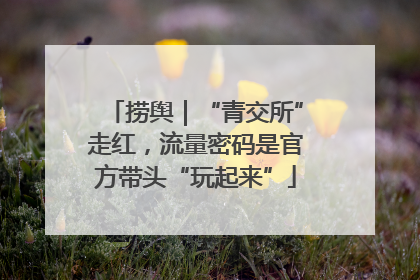 捞舆｜“青交所”走红，流量密码是官方带头“玩起来”
