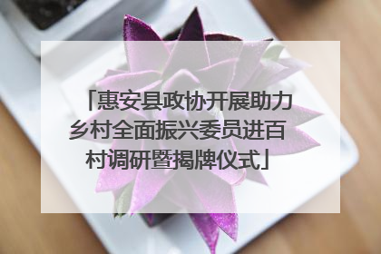 惠安县政协开展助力乡村全面振兴委员进百村调研暨揭牌仪式