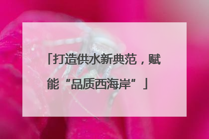 打造供水新典范，赋能“品质西海岸”