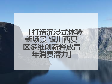 打造沉浸式体验新场景 银川西夏区多维创新释放青年消费潜力