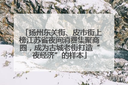 扬州东关街、皮市街上榜江苏省夜间消费集聚商圈，成为古城老街打造“夜经济”的样本