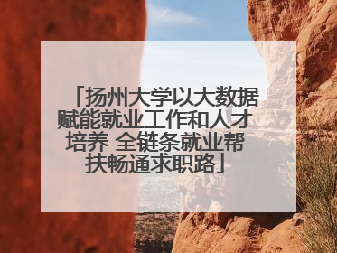 扬州大学以大数据赋能就业工作和人才培养 全链条就业帮扶畅通求职路