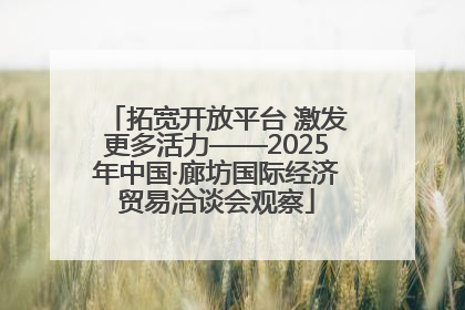 拓宽开放平台 激发更多活力——2025年中国·廊坊国际经济贸易洽谈会观察