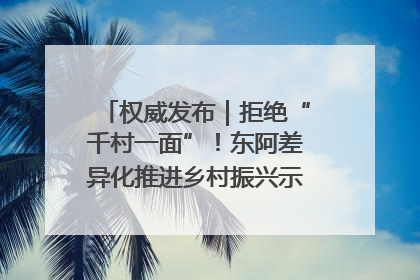 权威发布｜拒绝“千村一面”！东阿差异化推进乡村振兴示范片区建设