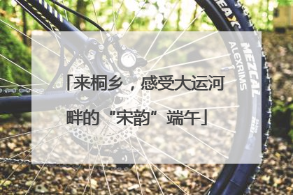 来桐乡，感受大运河畔的“宋韵”端午