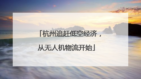 杭州追赶低空经济，从无人机物流开始