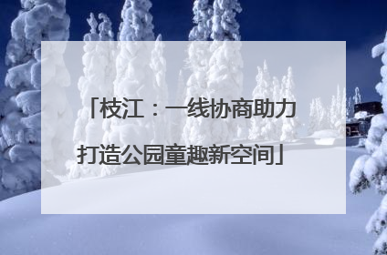 枝江：一线协商助力打造公园童趣新空间
