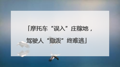 摩托车“误入”庄稼地，驾驶人“撒泼”终难逃