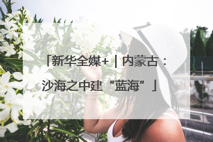 新华全媒+｜内蒙古：沙海之中建“蓝海”