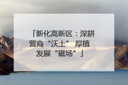 新化高新区：深耕营商“沃土” 厚植发展“磁场”