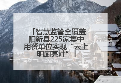 智慧监管全覆盖 阳新县225家集中用餐单位实现“云上明厨亮灶”