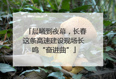 晨曦到夜幕，长春这条高速建设现场长鸣“奋进曲”