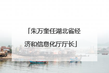 朱万奎任湖北省经济和信息化厅厅长