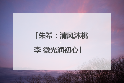 朱希：清风沐桃李 微光润初心