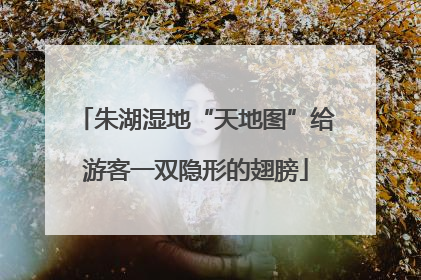 朱湖湿地“天地图”给游客一双隐形的翅膀