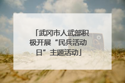 武冈市人武部积极开展“民兵活动日”主题活动