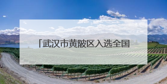 武汉市黄陂区入选全国首批综合类典型案例