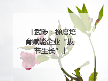 武陟：梯度培育赋能企业“拔节生长”