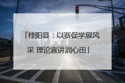 桂阳县：以赛促学展风采 理论宣讲润心田