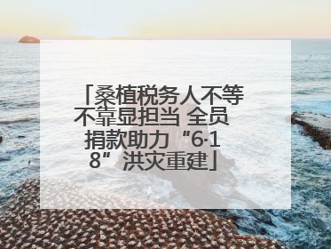 桑植税务人不等不靠显担当 全员捐款助力“6·18”洪灾重建