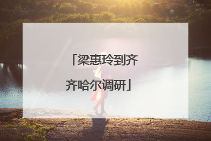梁惠玲到齐齐哈尔调研