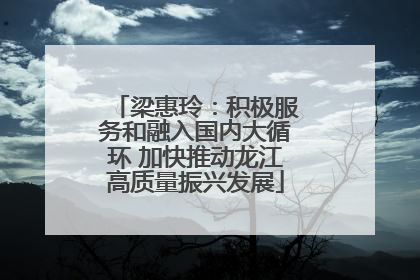 梁惠玲：积极服务和融入国内大循环 加快推动龙江高质量振兴发展