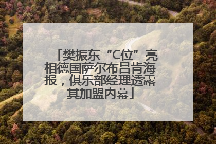 樊振东“C位”亮相德国萨尔布吕肯海报，俱乐部经理透露其加盟内幕