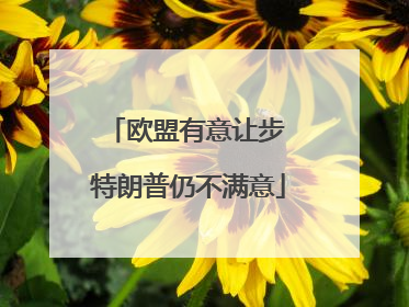 欧盟有意让步 特朗普仍不满意