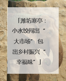 潍坊寒亭：小水饺闯出“大市场” 包出乡村振兴“幸福味”