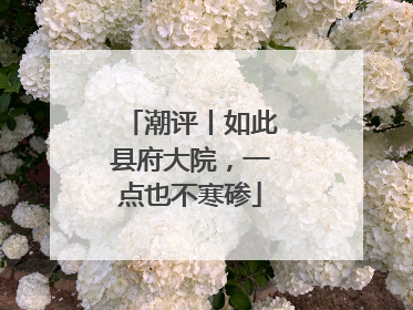 潮评丨如此县府大院，一点也不寒碜