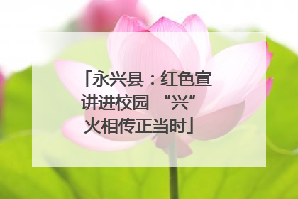 永兴县：红色宣讲进校园 “兴”火相传正当时