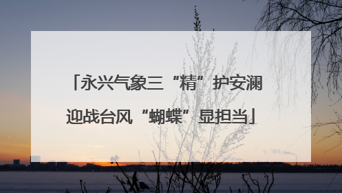 永兴气象三“精”护安澜 迎战台风“蝴蝶”显担当