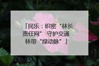 民乐：织密“林长责任网” 守护交通林带“绿动脉”